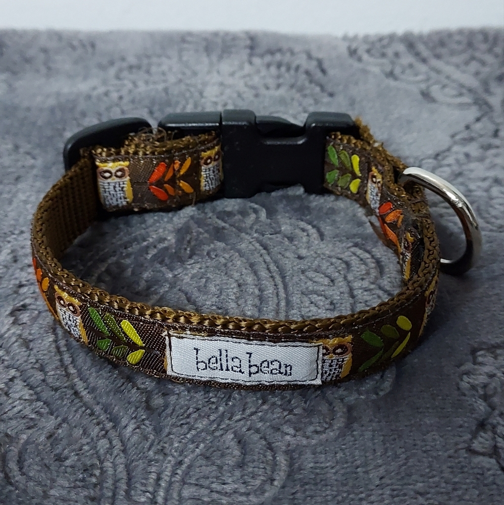 🦉 Bella Bean sturdy owl collar size S